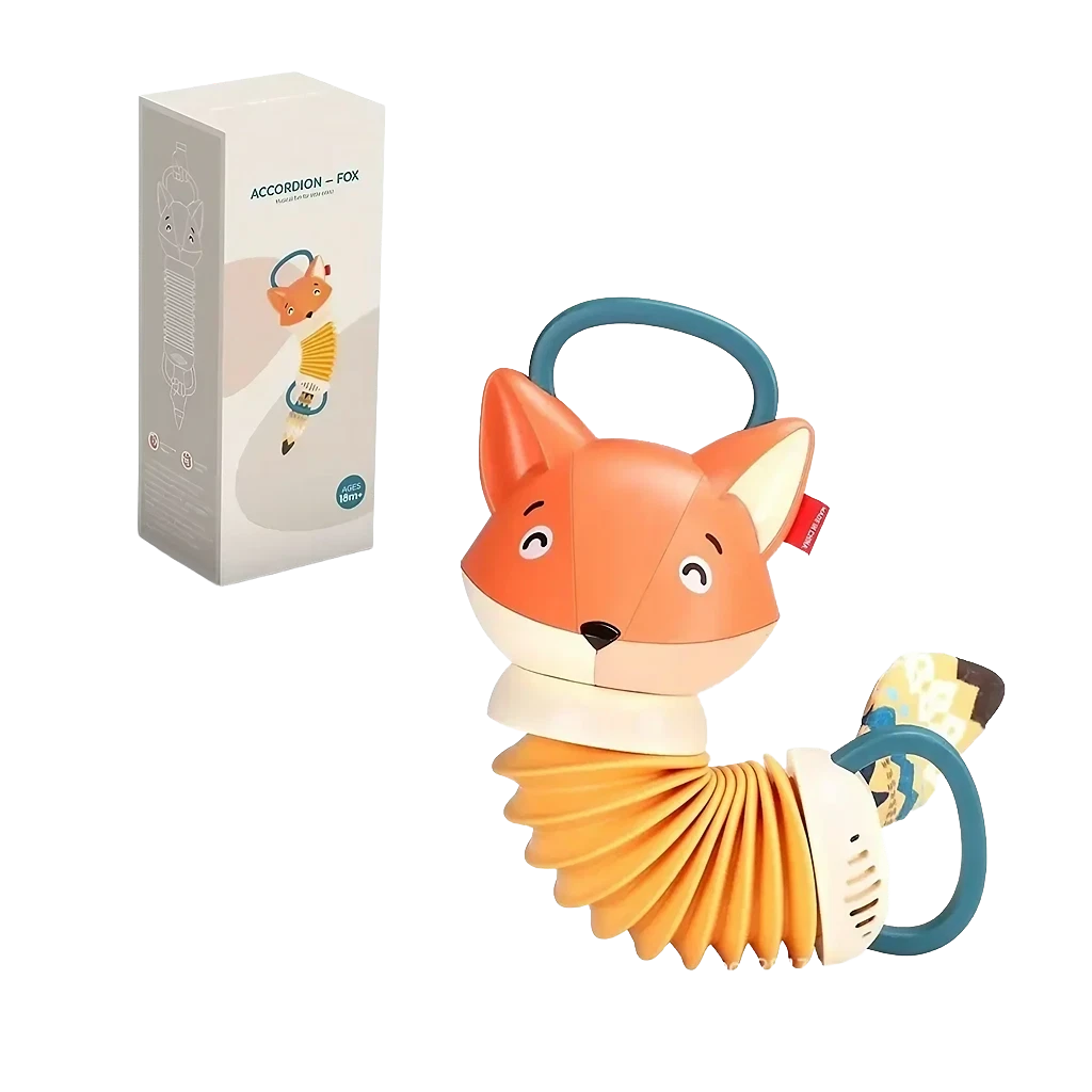 Musical Zorrito accordion with textures and sounds