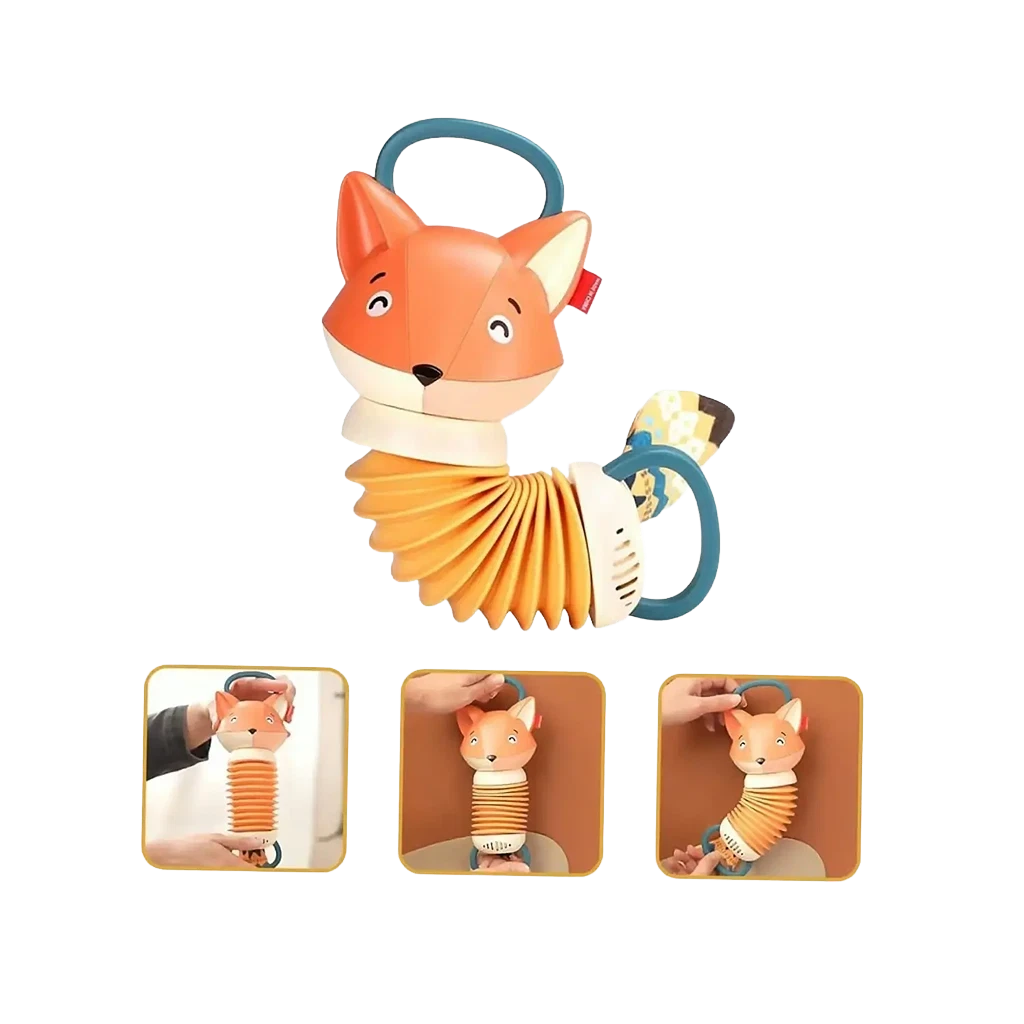 Musical Zorrito accordion with textures and sounds