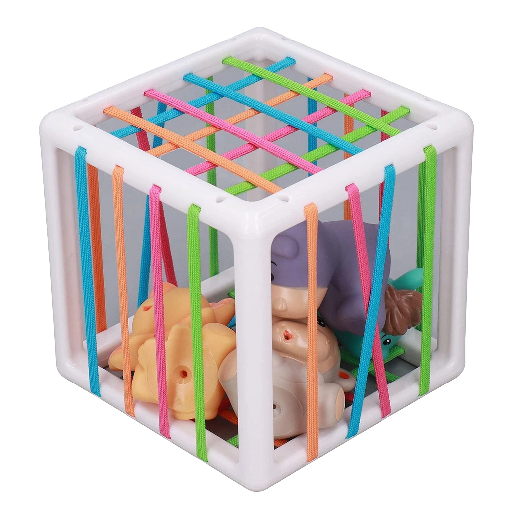 Sensory Cage Lace and Rubber Bands - Animals
