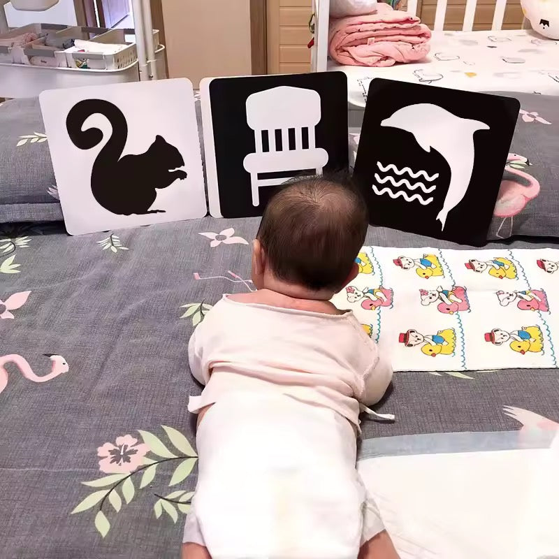 LIBRO BABY VISION