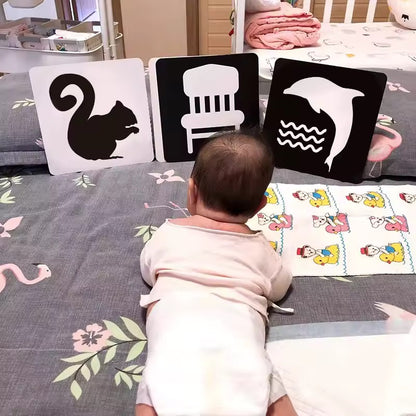LIBRO BABY VISION